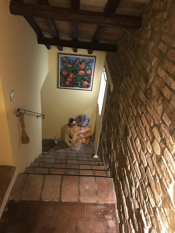 B&B Aurora Domus D'A-Mare ペザロ エクステリア 写真